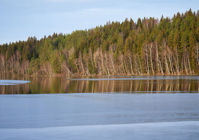 Scenic view of lake against trees in forest against sky