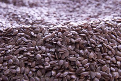 Full frame shot of sunflower seeds