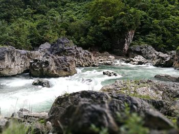 Scenic view of waterfall in forest