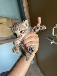 Close-up of hand holding stick
