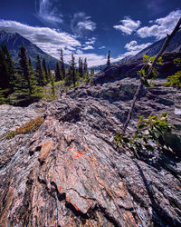 Scenic view of land against sky