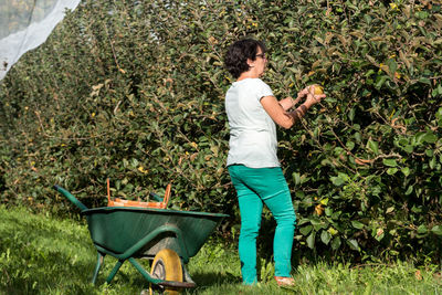 Woman picking fruit at farm