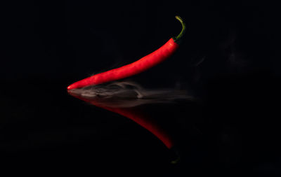 Low section of woman with smoke against black background