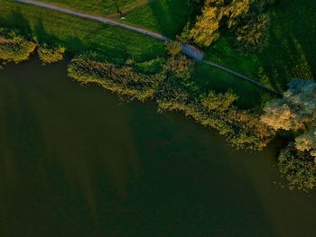 Reflection of trees on lake