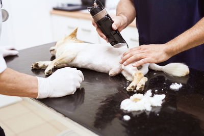 Dog in veterinary clinic is being shaved before surgery