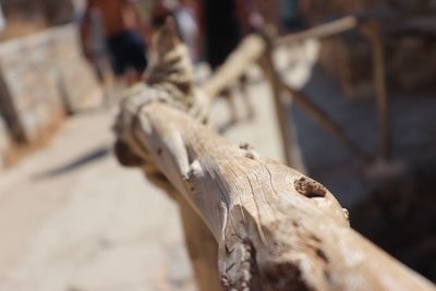 High angle view of shoes on wood