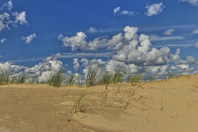land