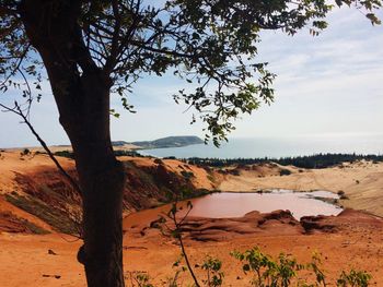 Scenic view of landscape against sky