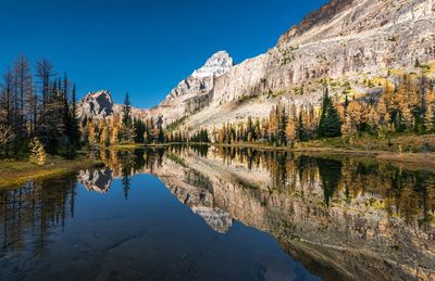 Scenic view of lake by trees against sky