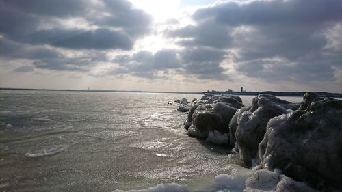 Cow on sea against sky