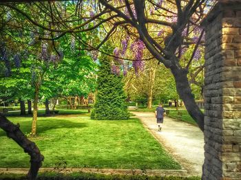 Man walking in park