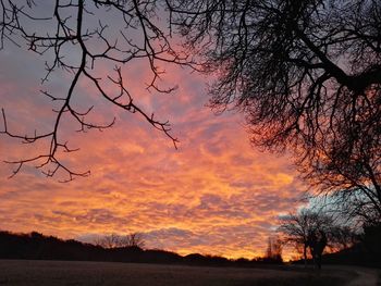 Silhouette bare trees against sky during sunset