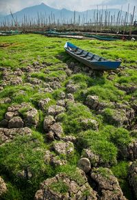 Boats moored on shore