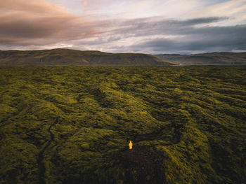 Scenic view of landscape against sky