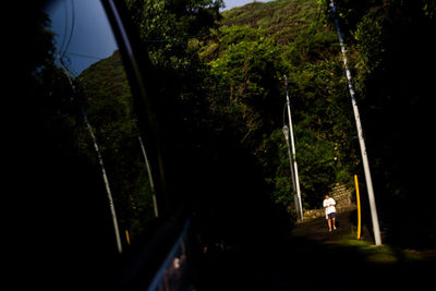 Narrow road along trees on landscape