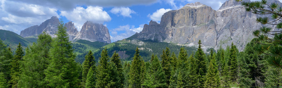 Panoramic view of pine trees and mountains against sky