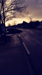 Road along trees at sunset