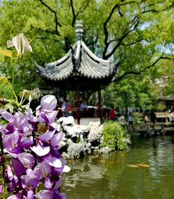 Flowers in temple by lake