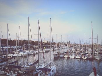 Boats in harbor