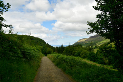 Empty road along plants and trees against sky