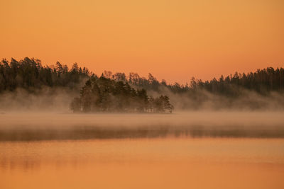 Foggy morning by the lake