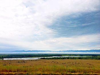 Scenic view of field against sky