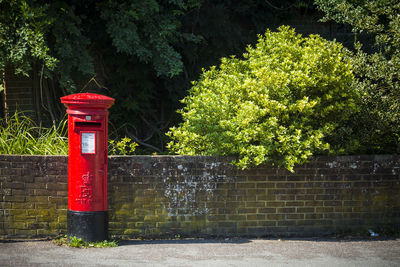 Red mailbox on tree against plants