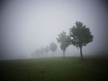 Trees on landscape against clear sky