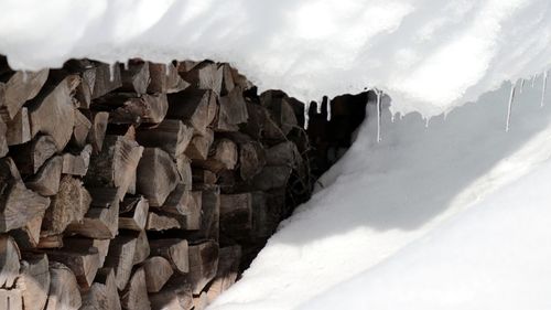 Close-up of logs on snow covered landscape