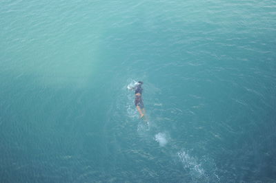 High angle view of man swimming in sea