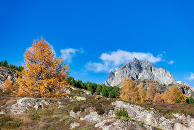 Scenic view of mountain against blue sky