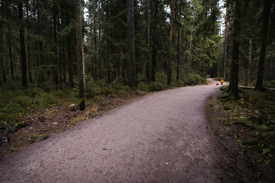 Road amidst trees in forest