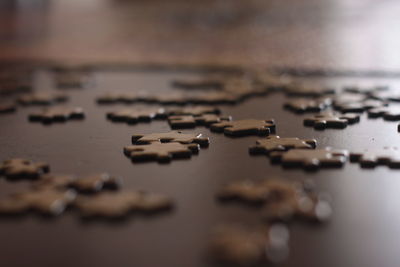 close-up