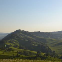 Scenic view of field against clear sky