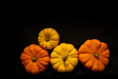 Close-up of pumpkins against black background