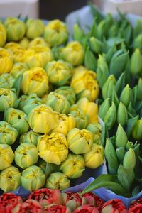 Close-up of tulips for sale at market stall