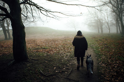 Rear view of two people walking on bare trees