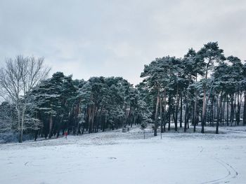 Trees on snow covered landscape against sky