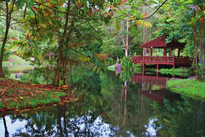 Scenic view of lake by trees