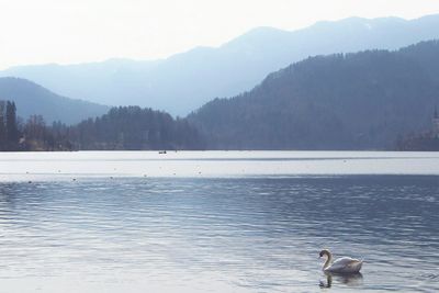 Scenic view of lake against mountain range