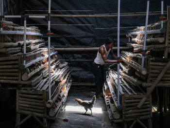 Man working at chicken coop