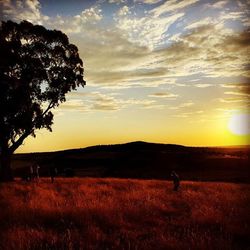 Scenic view of landscape at sunset