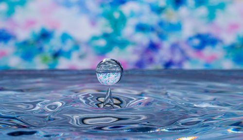 Close-up of water drop on surface