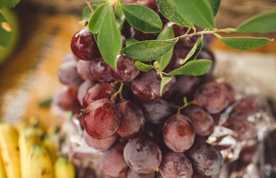 Close-up of grapes on table