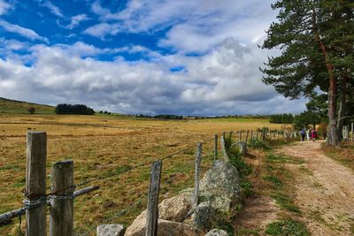 Scenic view of agricultural field against sky