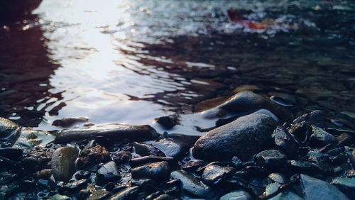 Rocks in water