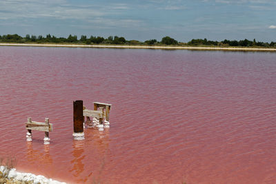 Scenic view of pink lake against sky 