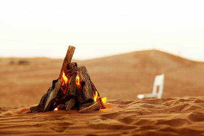 Close-up of bonfire on sand at beach against sky