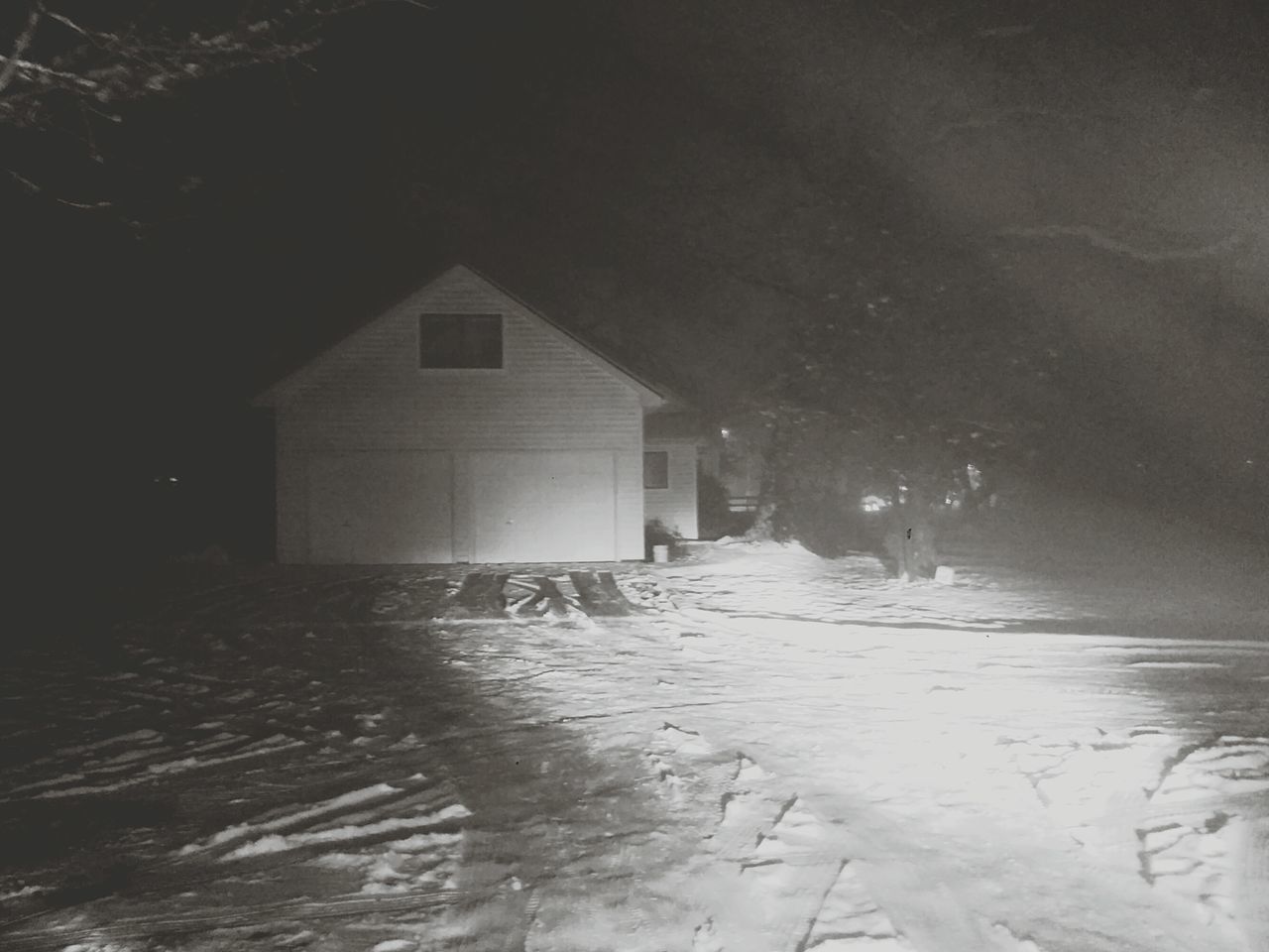 HOUSE BY TREES AT NIGHT