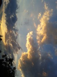 Low angle view of trees against cloudy sky